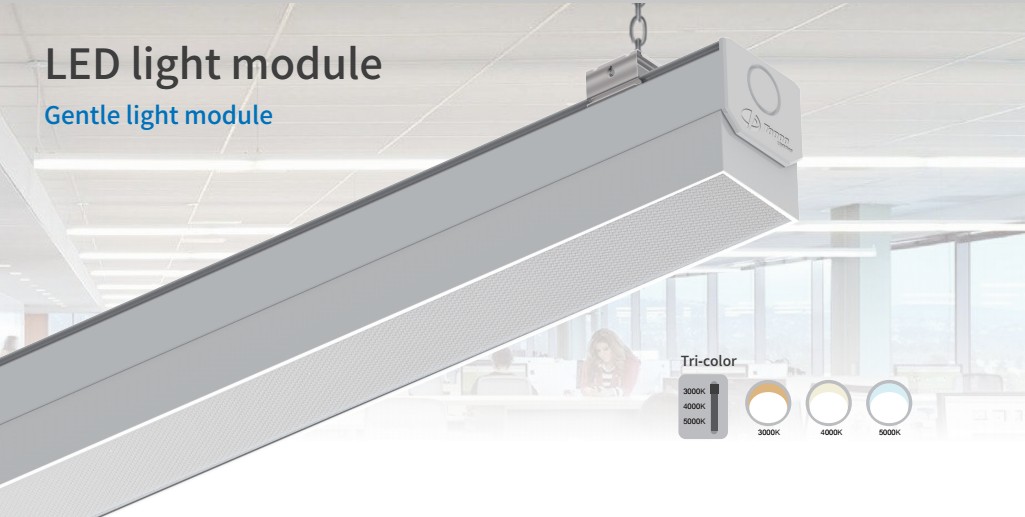 Popular in Germany Frosted Module Led Trunk Linear System 64W